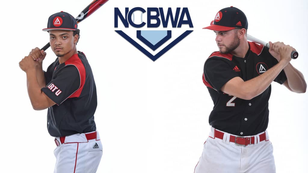 Art U Baseball for NCBWA