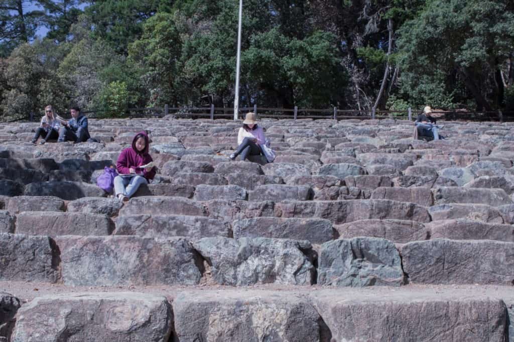 landscape-architecture-mt-tam-field-trip-3